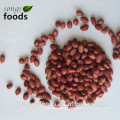 Raw four red skin peanuts for sale